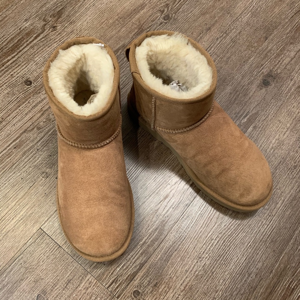 EUC short Ugg Classic - 8